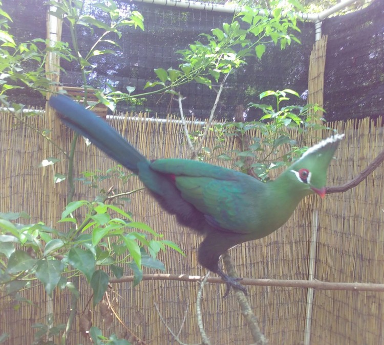 avian-biodiversity-center-photo